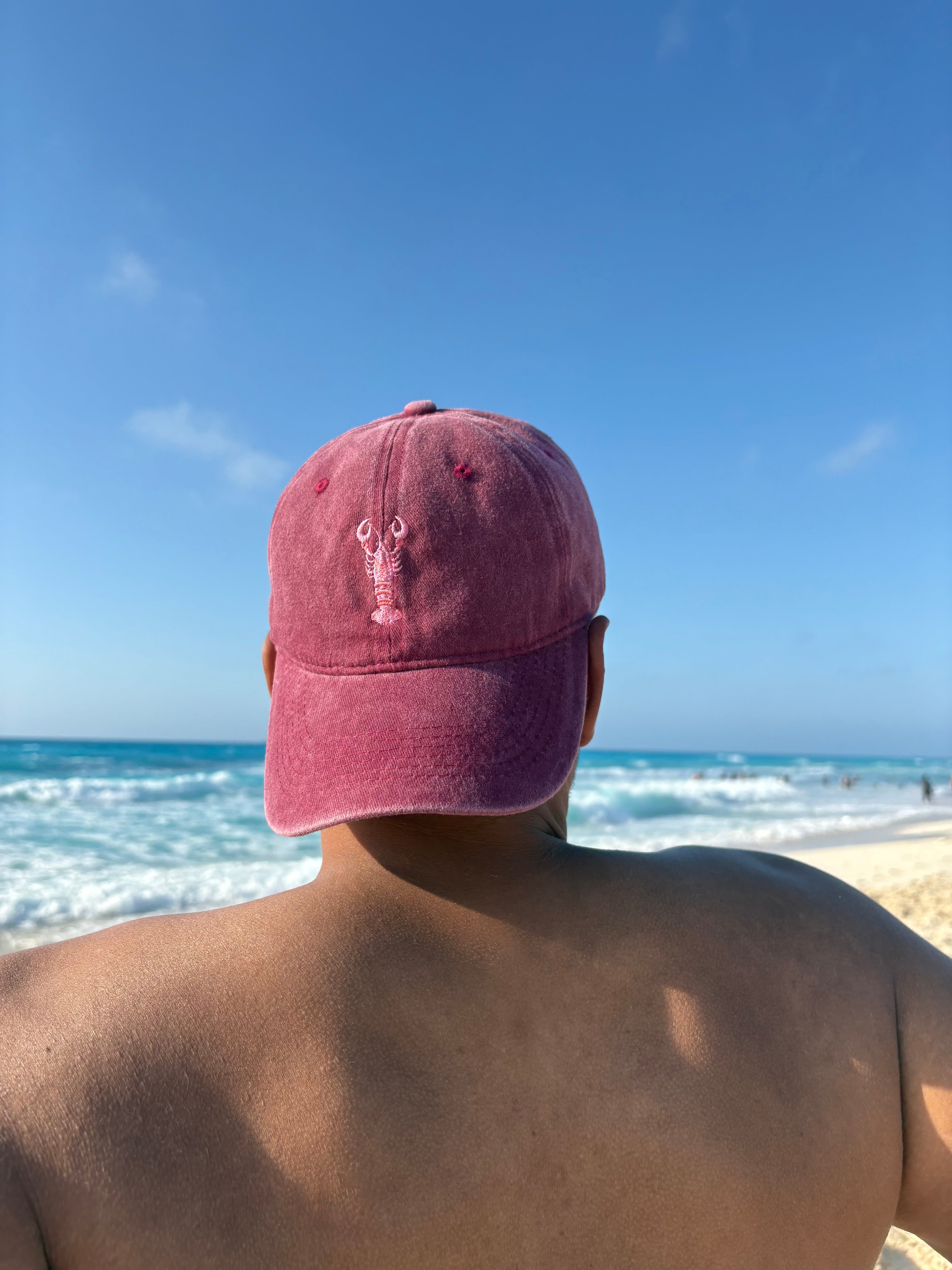 Lobster Energy Burgundy Washed Cap