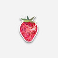 Strawberry Sticker